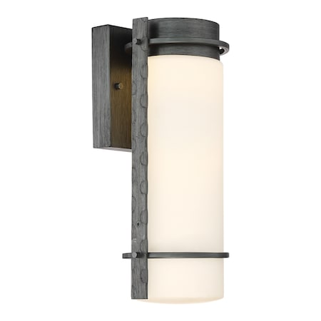 Designers Fountain Led Wall Lantern LED34311-WI
